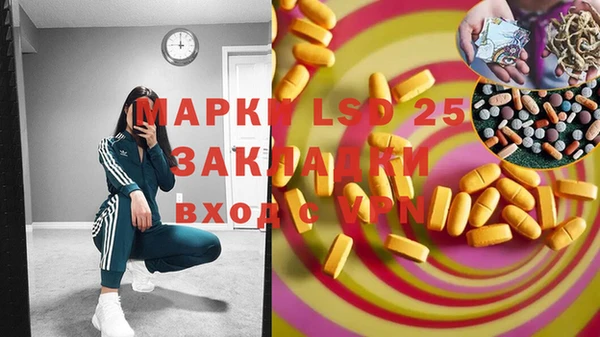 молекула духа Покров